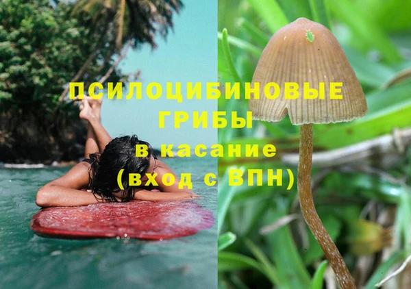 каннабис Тобольск