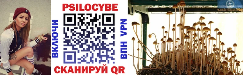 Галлюциногенные грибы прущие грибы  где купить   Берёзовка 